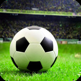 bsports登录官网入口